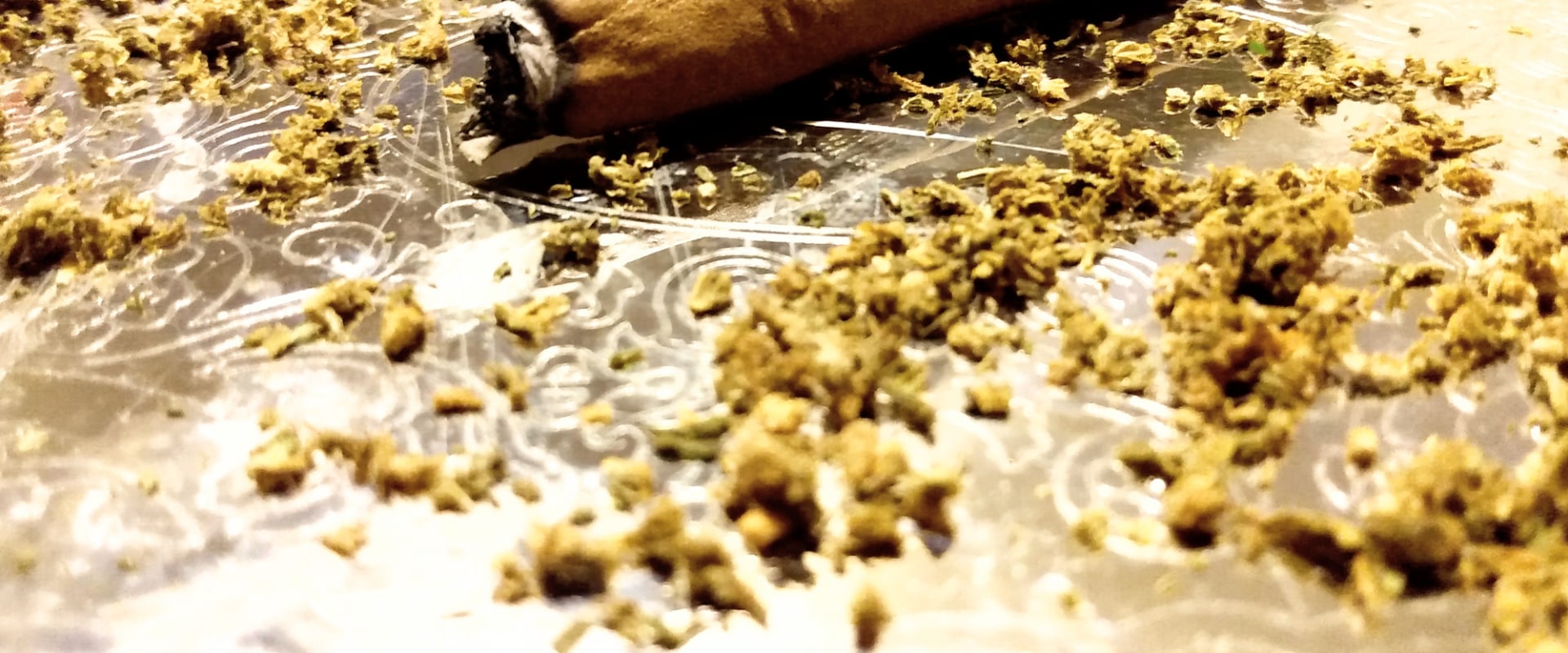 How To Roll A Blunt a Step by Step Guide